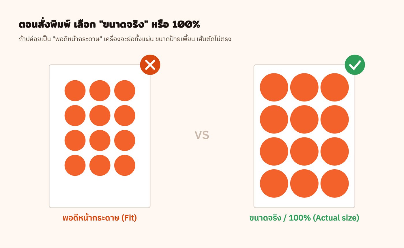 พอดีหน้ากระดาษจะย่อทั้งแผ่น ต้องเลือกขนาดจริง 100%